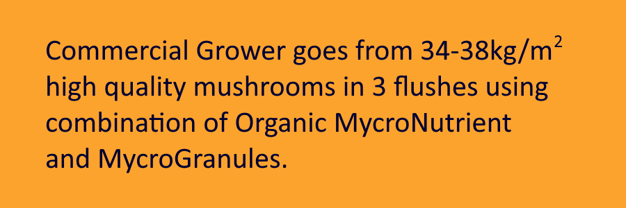 Organic mushroom supplements Organic mushroom supplements