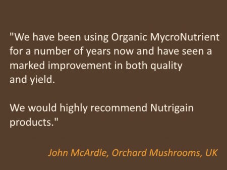 testimonial1a Mushroom Nutrient Testimonial